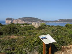 punta_giglio(2)